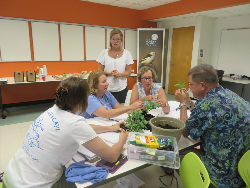 Learning hands-on plant phenology and plant parts