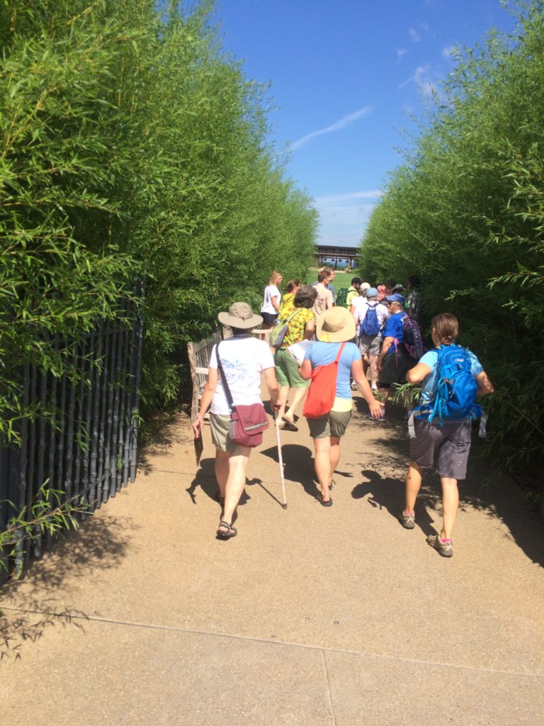 The Arboretum at Penn State provided a perfect location for inquiry based learning