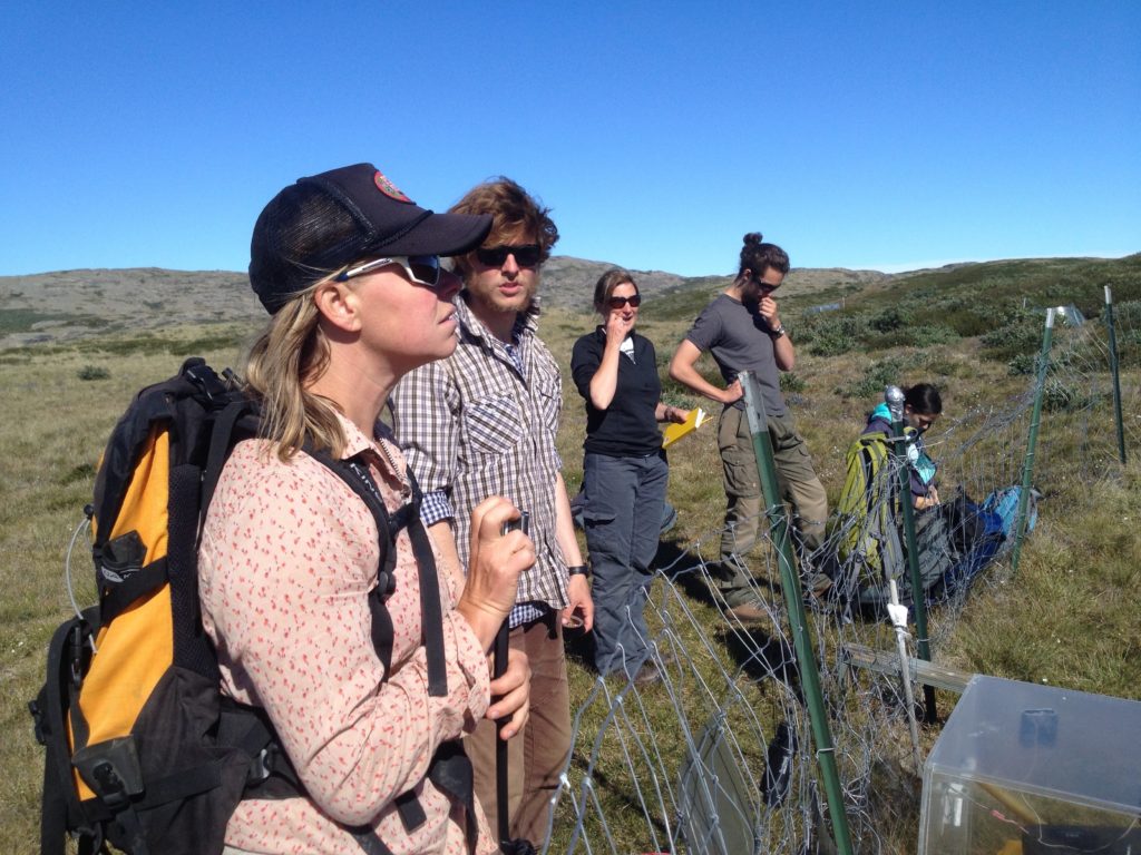 Heidi, Christian and Nell visiting the long-term field site in Greenland before the workshop