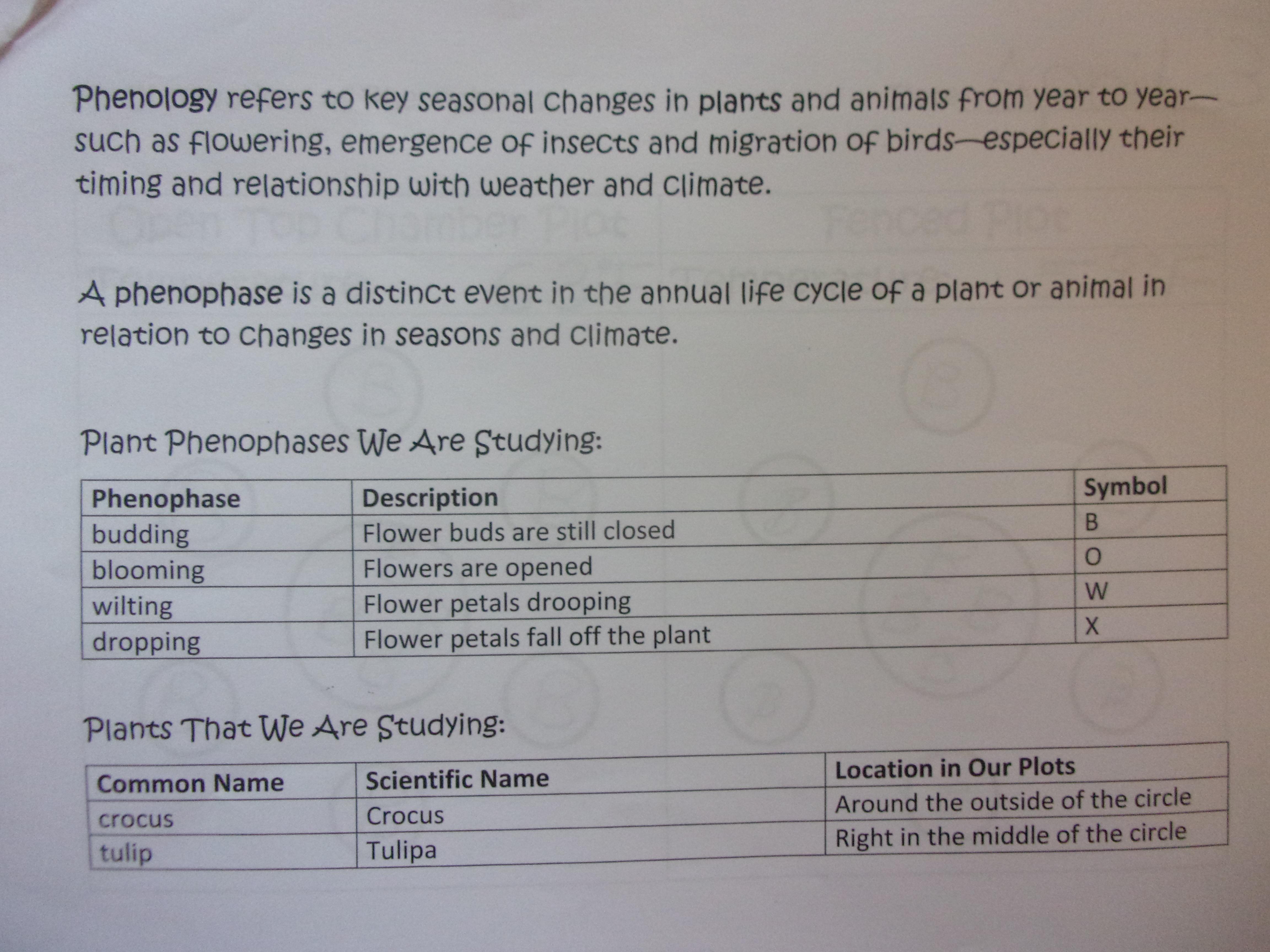 Phenophases Journal Page